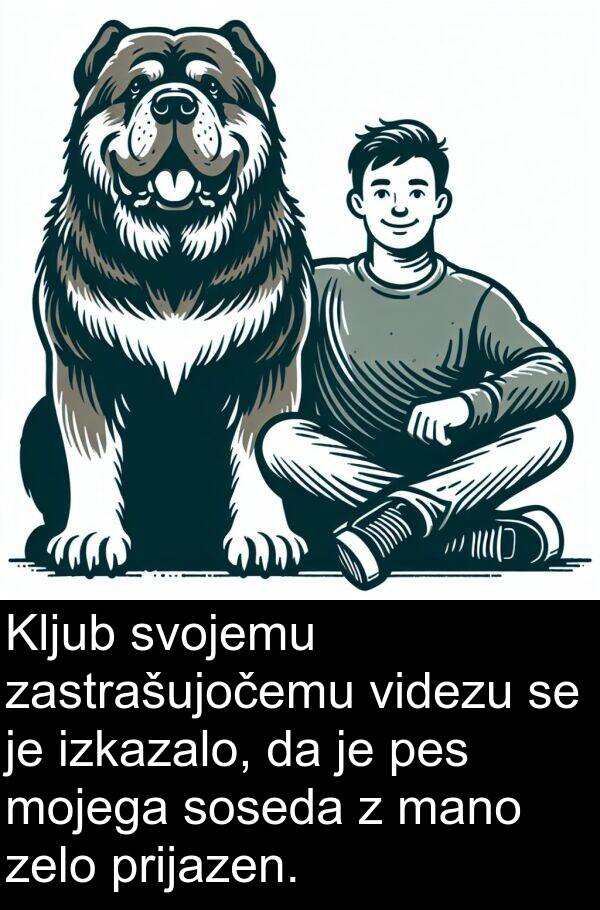 mano: Kljub svojemu zastrašujočemu videzu se je izkazalo, da je pes mojega soseda z mano zelo prijazen.