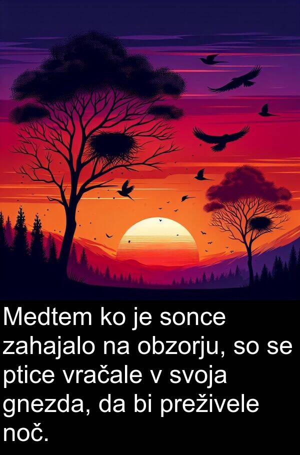 sonce: Medtem ko je sonce zahajalo na obzorju, so se ptice vračale v svoja gnezda, da bi preživele noč.