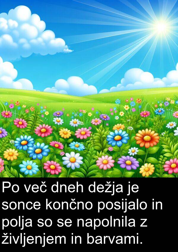 sonce: Po več dneh dežja je sonce končno posijalo in polja so se napolnila z življenjem in barvami.