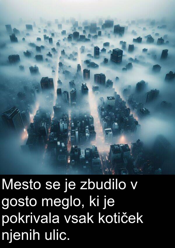 pokrivala: Mesto se je zbudilo v gosto meglo, ki je pokrivala vsak kotiček njenih ulic.