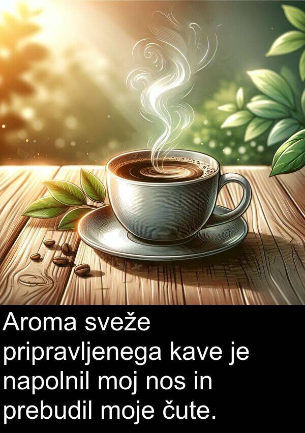 moj: Aroma sveže pripravljenega kave je napolnil moj nos in prebudil moje čute.