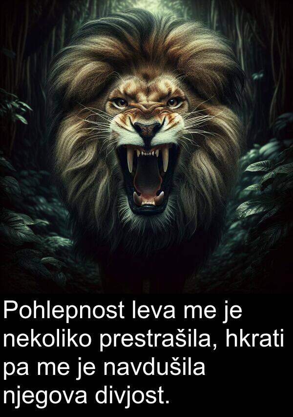 hkrati: Pohlepnost leva me je nekoliko prestrašila, hkrati pa me je navdušila njegova divjost.