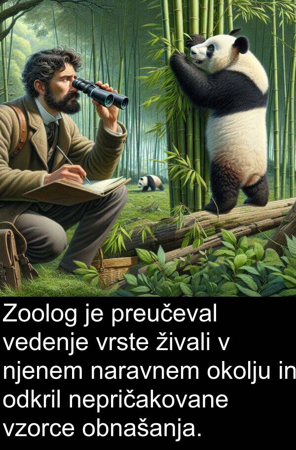 vedenje: Zoolog je preučeval vedenje vrste živali v njenem naravnem okolju in odkril nepričakovane vzorce obnašanja.