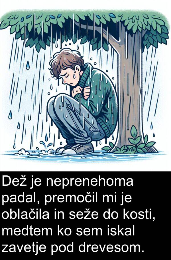 oblačila: Dež je neprenehoma padal, premočil mi je oblačila in seže do kosti, medtem ko sem iskal zavetje pod drevesom.