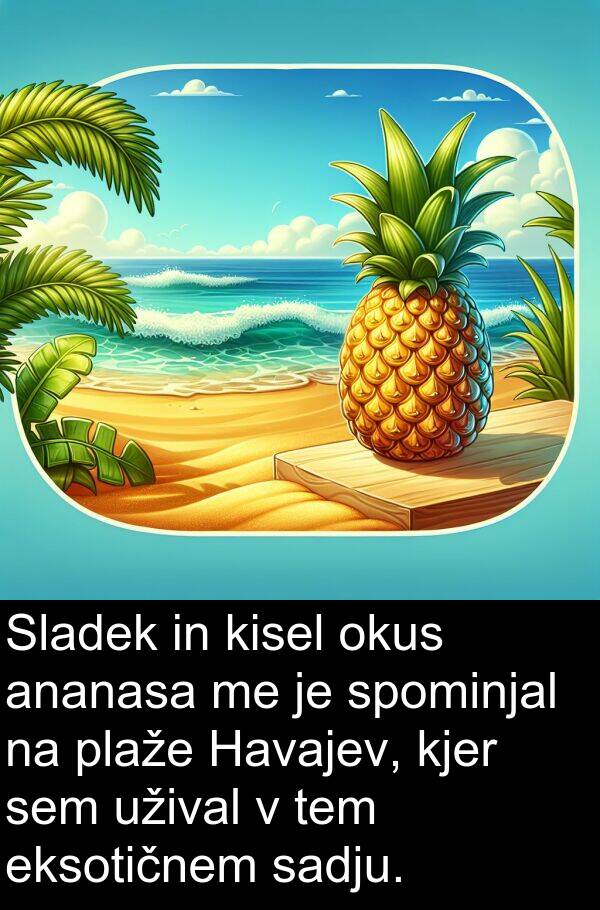 eksotičnem: Sladek in kisel okus ananasa me je spominjal na plaže Havajev, kjer sem užival v tem eksotičnem sadju.