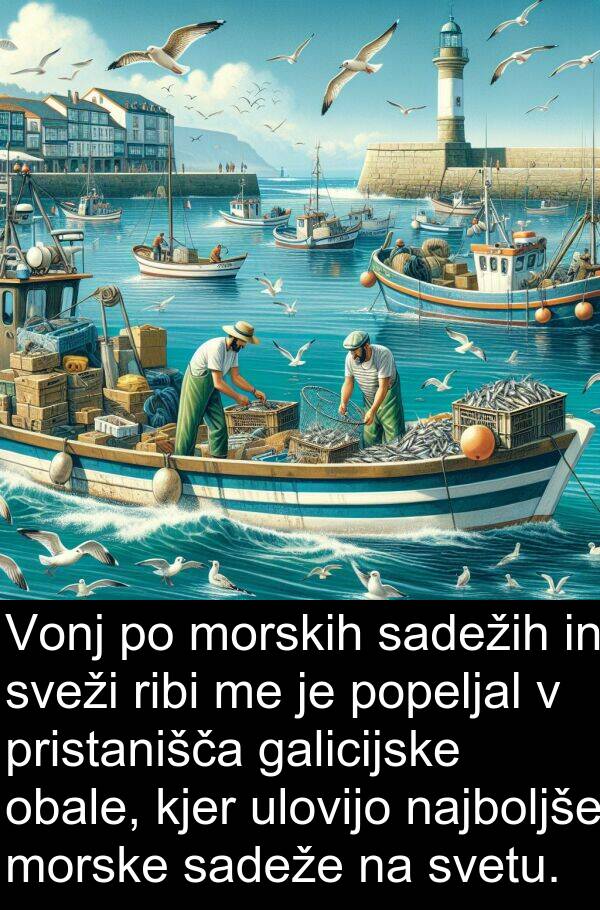 sadežih: Vonj po morskih sadežih in sveži ribi me je popeljal v pristanišča galicijske obale, kjer ulovijo najboljše morske sadeže na svetu.
