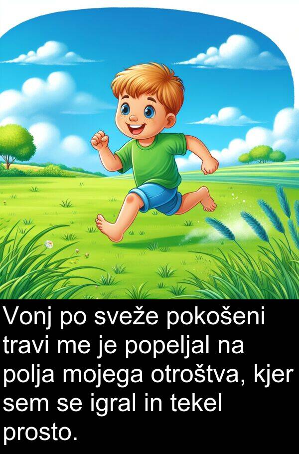 mojega: Vonj po sveže pokošeni travi me je popeljal na polja mojega otroštva, kjer sem se igral in tekel prosto.