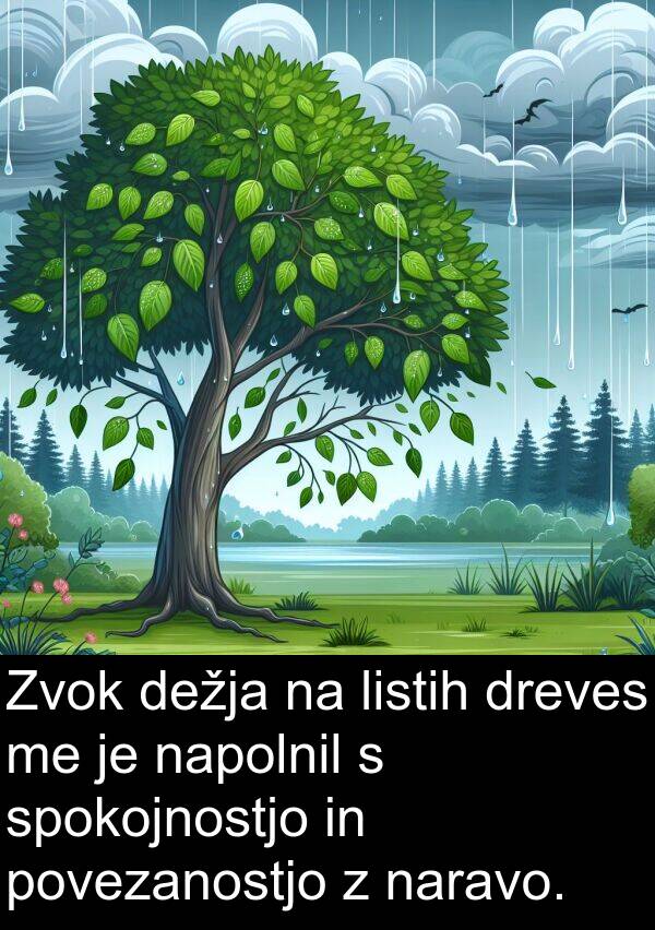 naravo: Zvok dežja na listih dreves me je napolnil s spokojnostjo in povezanostjo z naravo.