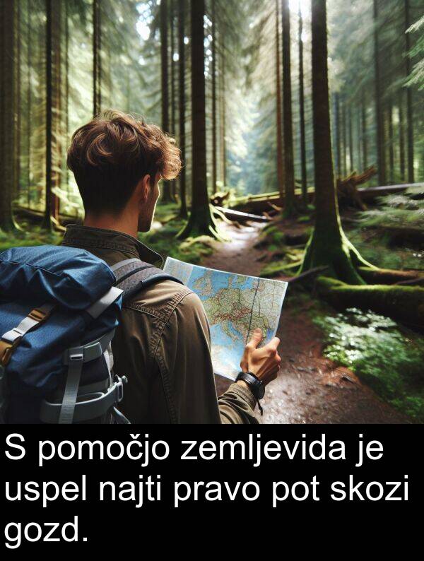 najti: S pomočjo zemljevida je uspel najti pravo pot skozi gozd.