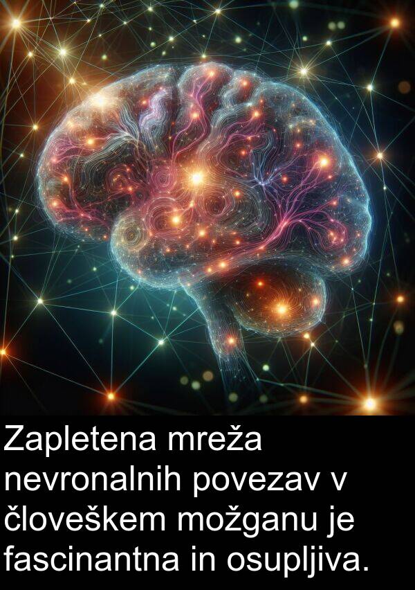 mreža: Zapletena mreža nevronalnih povezav v človeškem možganu je fascinantna in osupljiva.