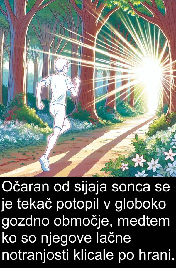 sonca: Očaran od sijaja sonca se je tekač potopil v globoko gozdno območje, medtem ko so njegove lačne notranjosti klicale po hrani.