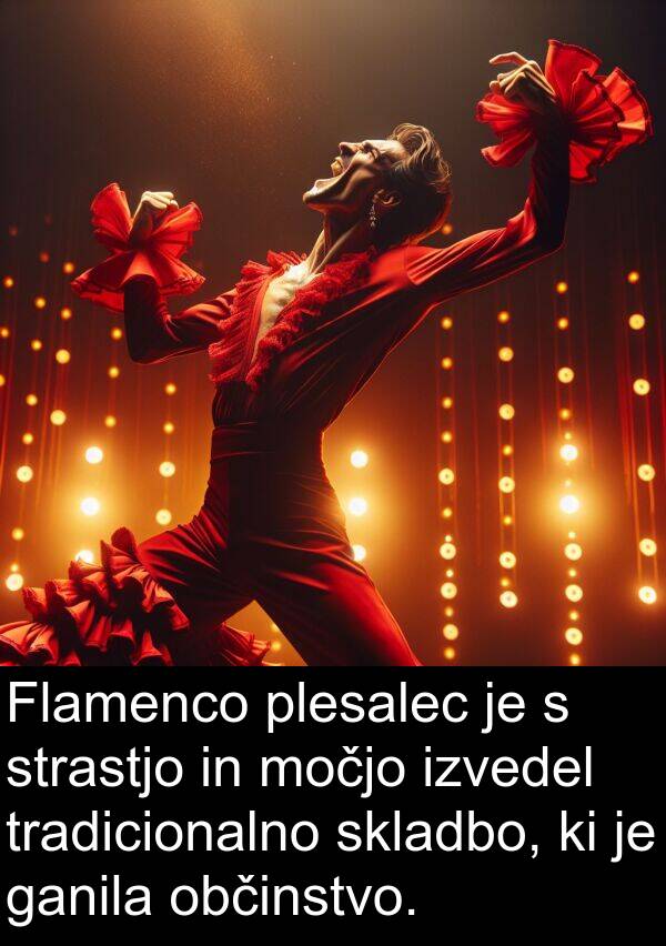 ganila: Flamenco plesalec je s strastjo in močjo izvedel tradicionalno skladbo, ki je ganila občinstvo.