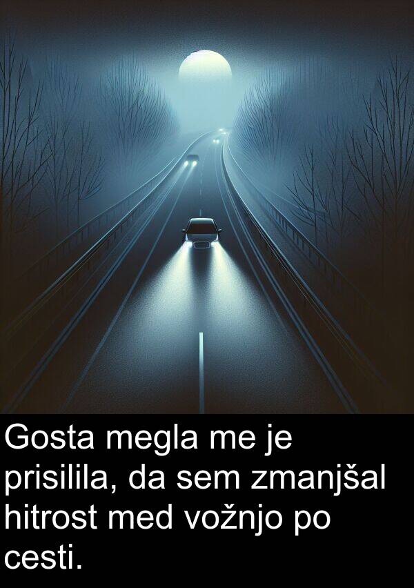 cesti: Gosta megla me je prisilila, da sem zmanjšal hitrost med vožnjo po cesti.