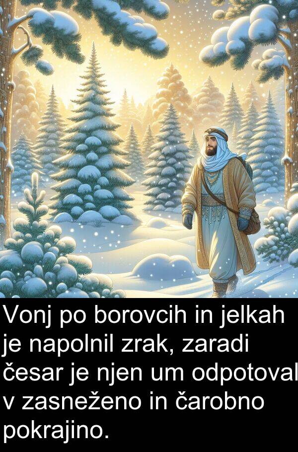 čarobno: Vonj po borovcih in jelkah je napolnil zrak, zaradi česar je njen um odpotoval v zasneženo in čarobno pokrajino.