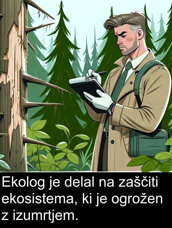ekosistema: Ekolog je delal na zaščiti ekosistema, ki je ogrožen z izumrtjem.