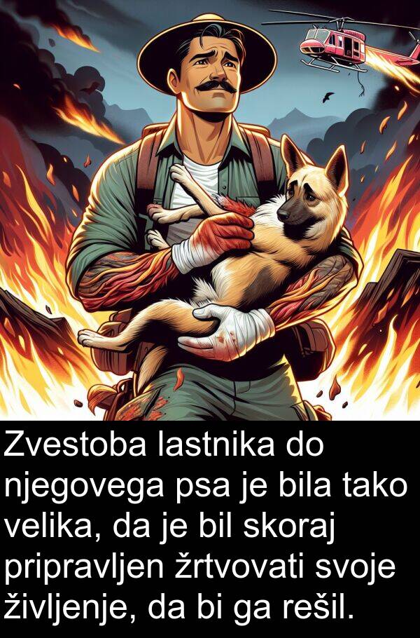 lastnika: Zvestoba lastnika do njegovega psa je bila tako velika, da je bil skoraj pripravljen žrtvovati svoje življenje, da bi ga rešil.