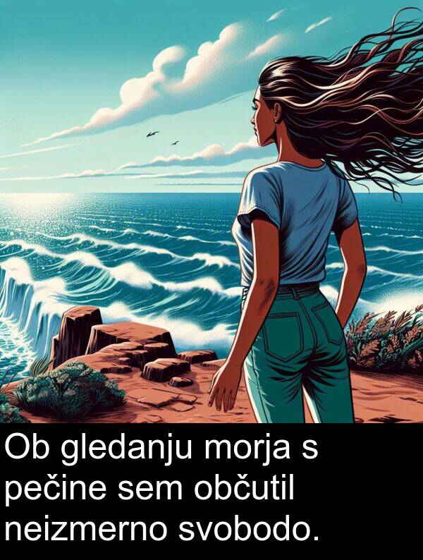 občutil: Ob gledanju morja s pečine sem občutil neizmerno svobodo.