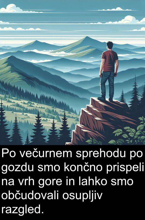 občudovali: Po večurnem sprehodu po gozdu smo končno prispeli na vrh gore in lahko smo občudovali osupljiv razgled.