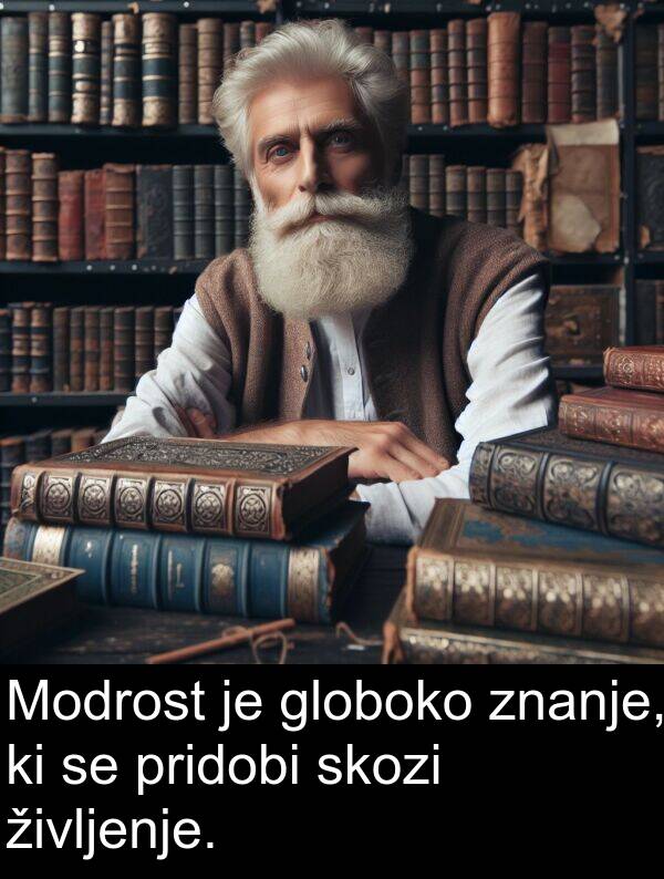 pridobi: Modrost je globoko znanje, ki se pridobi skozi življenje.