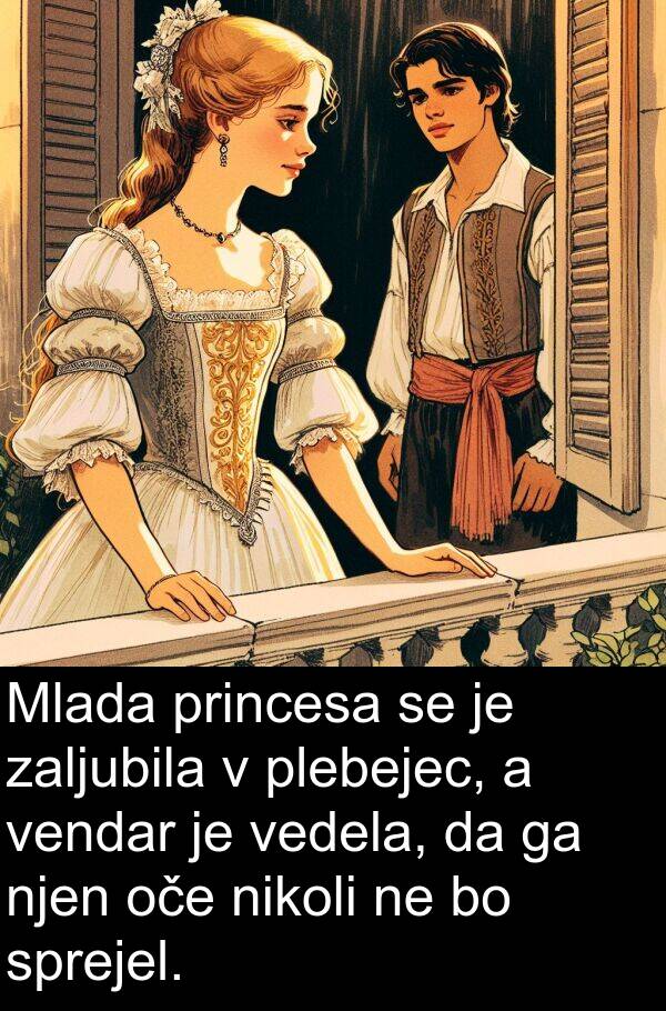 sprejel: Mlada princesa se je zaljubila v plebejec, a vendar je vedela, da ga njen oče nikoli ne bo sprejel.