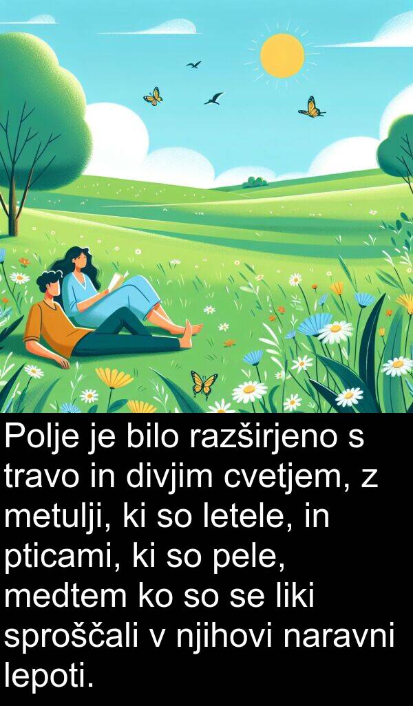 naravni: Polje je bilo razširjeno s travo in divjim cvetjem, z metulji, ki so letele, in pticami, ki so pele, medtem ko so se liki sproščali v njihovi naravni lepoti.