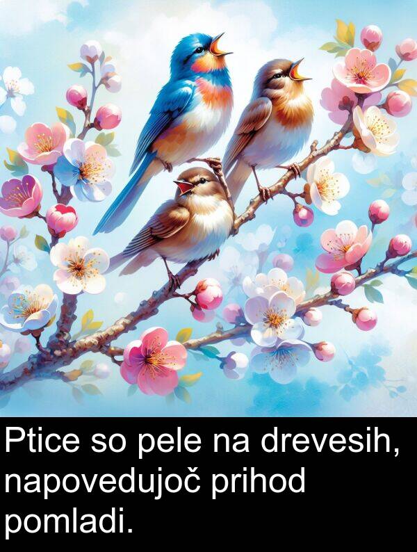 prihod: Ptice so pele na drevesih, napovedujoč prihod pomladi.