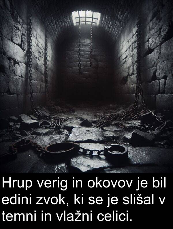 celici: Hrup verig in okovov je bil edini zvok, ki se je slišal v temni in vlažni celici.