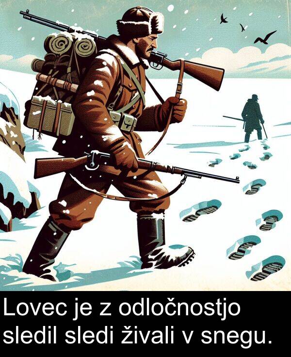sledi: Lovec je z odločnostjo sledil sledi živali v snegu.