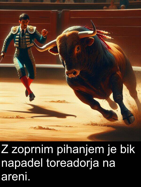 bik: Z zoprnim pihanjem je bik napadel toreadorja na areni.