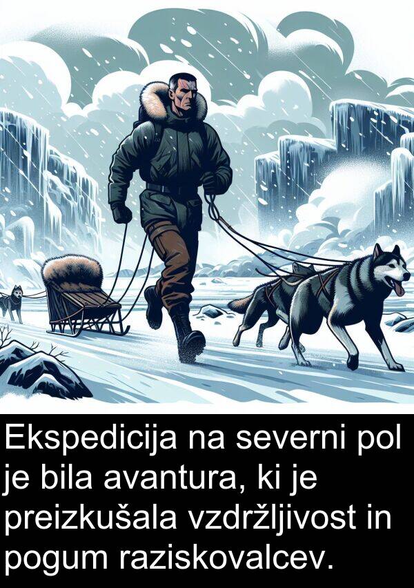 pol: Ekspedicija na severni pol je bila avantura, ki je preizkušala vzdržljivost in pogum raziskovalcev.