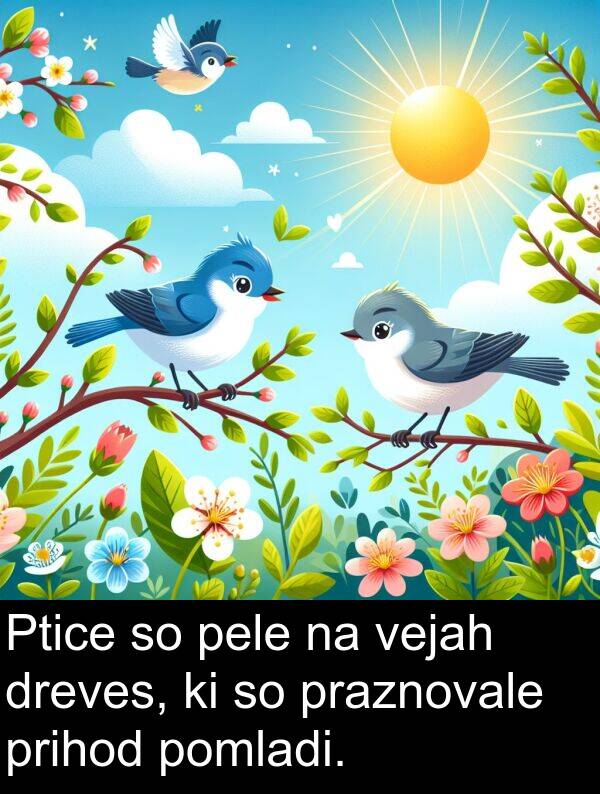 prihod: Ptice so pele na vejah dreves, ki so praznovale prihod pomladi.