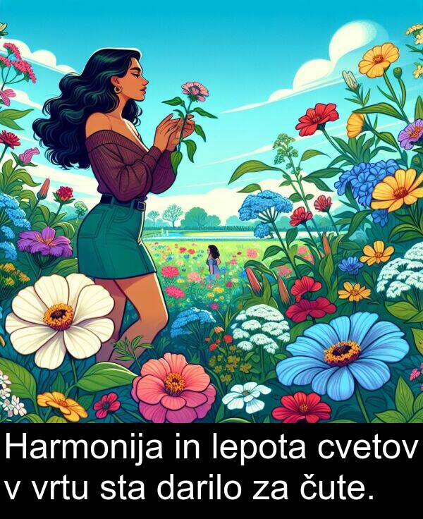 lepota: Harmonija in lepota cvetov v vrtu sta darilo za čute.