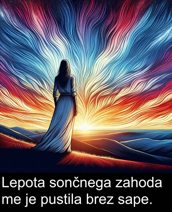 sape: Lepota sončnega zahoda me je pustila brez sape.