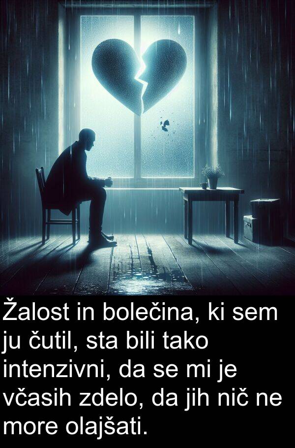 včasih: Žalost in bolečina, ki sem ju čutil, sta bili tako intenzivni, da se mi je včasih zdelo, da jih nič ne more olajšati.