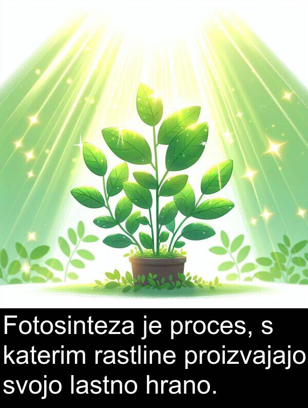 lastno: Fotosinteza je proces, s katerim rastline proizvajajo svojo lastno hrano.