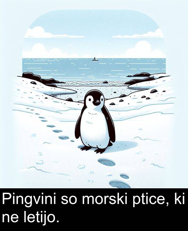 morski: Pingvini so morski ptice, ki ne letijo.