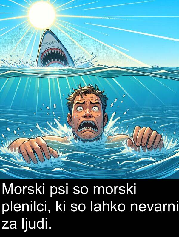 nevarni: Morski psi so morski plenilci, ki so lahko nevarni za ljudi.