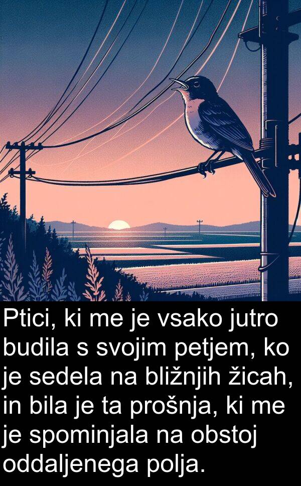 sedela: Ptici, ki me je vsako jutro budila s svojim petjem, ko je sedela na bližnjih žicah, in bila je ta prošnja, ki me je spominjala na obstoj oddaljenega polja.