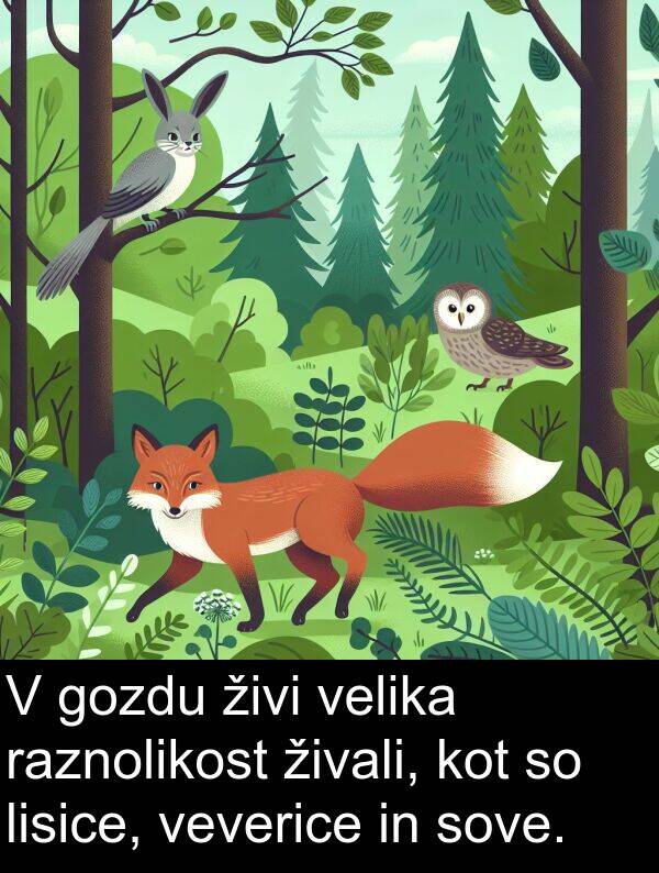 živi: V gozdu živi velika raznolikost živali, kot so lisice, veverice in sove.
