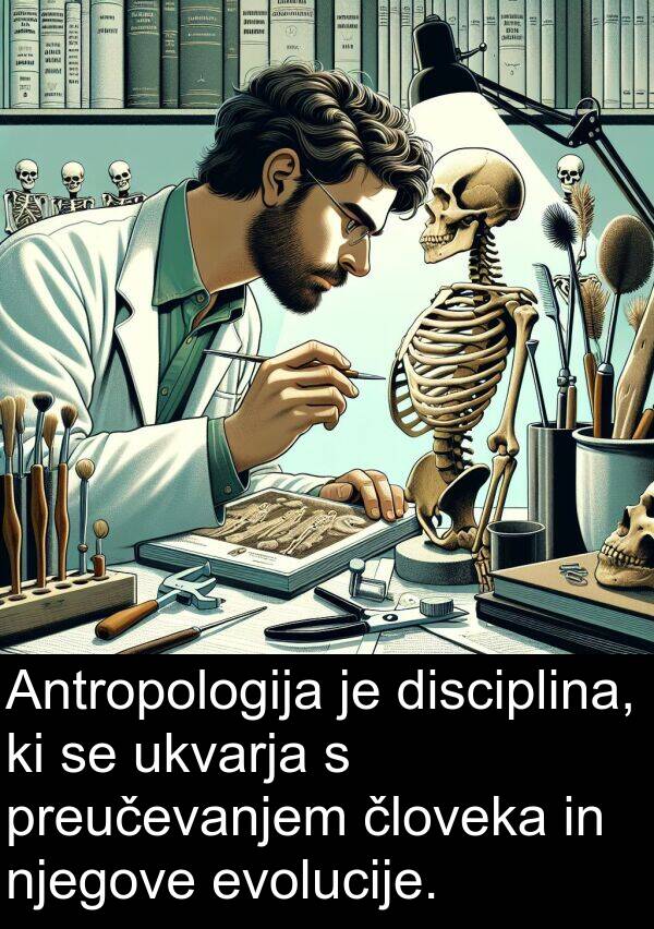 človeka: Antropologija je disciplina, ki se ukvarja s preučevanjem človeka in njegove evolucije.