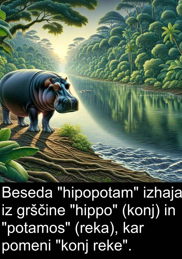 reke: Beseda "hipopotam" izhaja iz grščine "hippo" (konj) in "potamos" (reka), kar pomeni "konj reke".