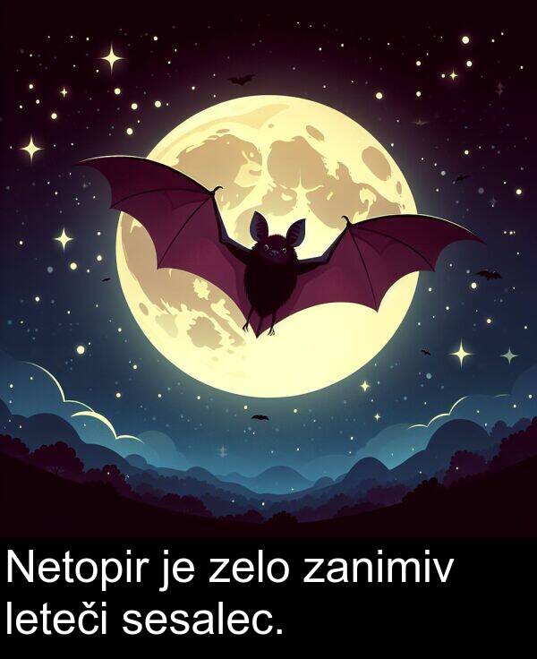 sesalec: Netopir je zelo zanimiv leteči sesalec.