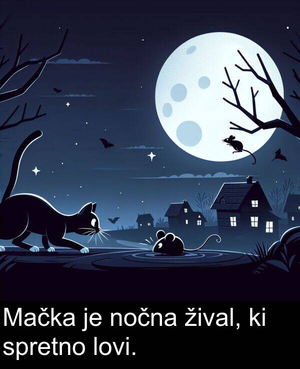 žival: Mačka je nočna žival, ki spretno lovi.