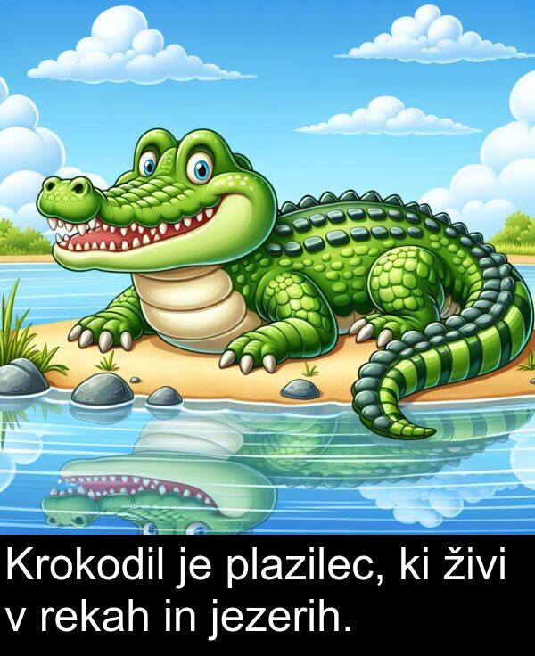 živi: Krokodil je plazilec, ki živi v rekah in jezerih.