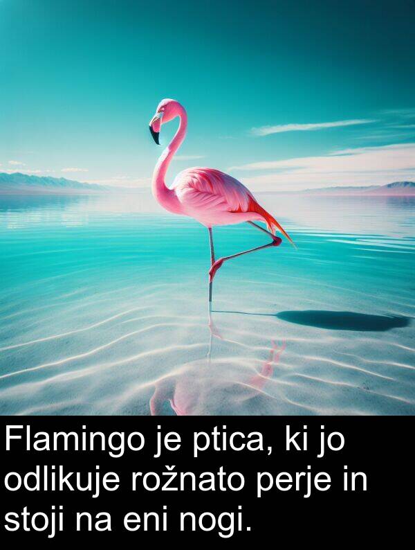 stoji: Flamingo je ptica, ki jo odlikuje rožnato perje in stoji na eni nogi.