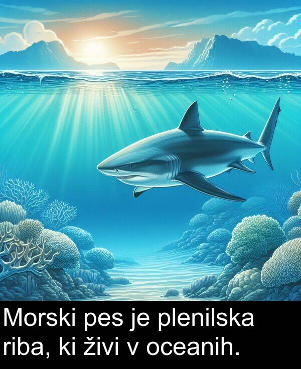 živi: Morski pes je plenilska riba, ki živi v oceanih.