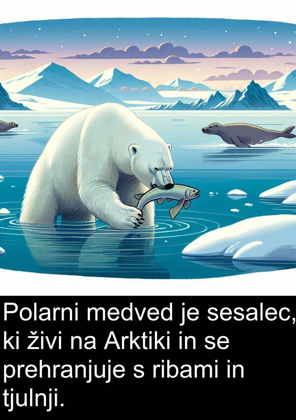 živi: Polarni medved je sesalec, ki živi na Arktiki in se prehranjuje s ribami in tjulnji.