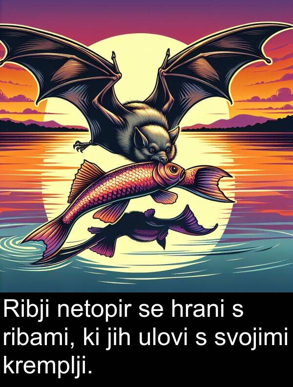 netopir: Ribji netopir se hrani s ribami, ki jih ulovi s svojimi kremplji.