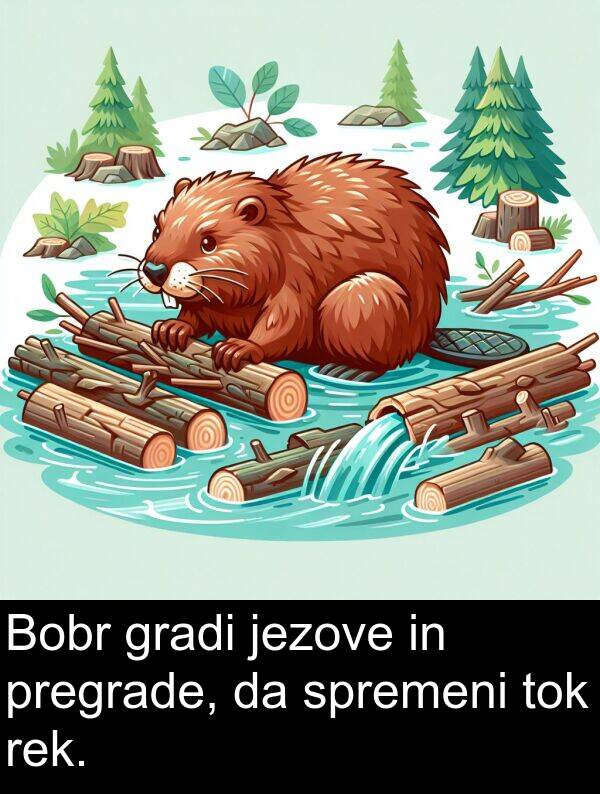 spremeni: Bobr gradi jezove in pregrade, da spremeni tok rek.