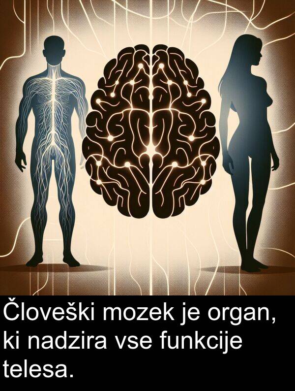 nadzira: Človeški mozek je organ, ki nadzira vse funkcije telesa.